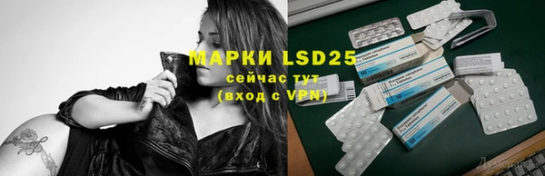 мдпв Верея