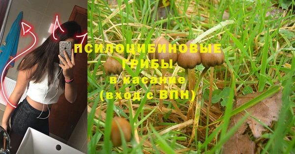 мдпв Верея