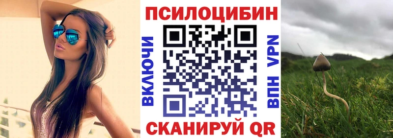 даркнет телеграм  Демидов  Псилоцибиновые грибы Psilocybe 